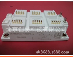 全新原裝IGBT模塊 SKM200GAH123DKL 現(xiàn)貨直拍