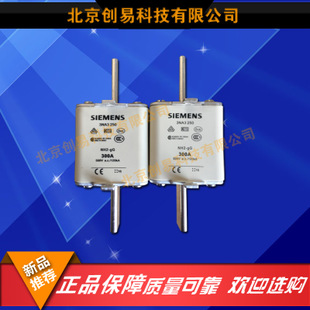 全新原裝德國siemens西門子快速熔3NA3250